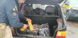Polícia apreende 90 kg de maconha em carro em rodovia na região