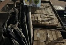 Polícia apreende carga milionária de cigarros e prende jovem no interior de Toledo