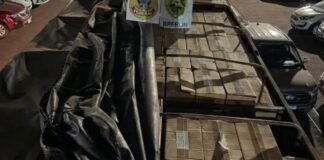 Polícia apreende carga milionária de cigarros e prende jovem no interior de Toledo