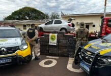 Polícia apreende quase 700 kg de maconha após perseguição em Toledo,