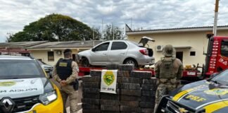 Polícia apreende quase 700 kg de maconha após perseguição em Toledo,