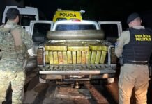 Quase uma tonelada de maconha é apreendida em veículo clonado