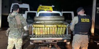 Quase uma tonelada de maconha é apreendida em veículo clonado