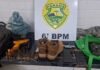 SUSPEITO DE MATAR DIRLEI EM CASCAVEL É PRESO EM PROPRIEDADE RURAL DE ASSIS CHATEAUBRIAND