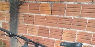 Homem é preso suspeito de furto a residência e bicicleta é recuperada em Toledo