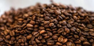 Café mais barato na prateleira e soja em alta nas exportações, mostra boletim do Deral