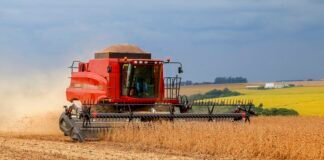 Safra 2026/2027: produção de soja tem previsão de aumento em 4% no Paraná