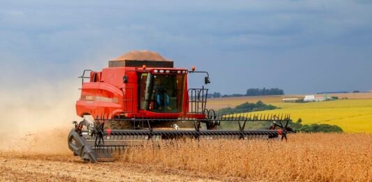Safra 2026/2027: produção de soja tem previsão de aumento em 4% no Paraná