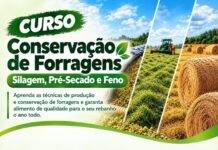 Parceria entre Smap e Sindicato Rural de Toledo viabiliza cursos profissionalizantes