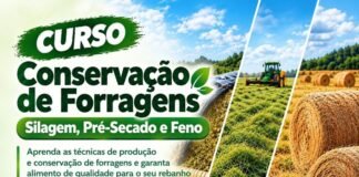 Parceria entre Smap e Sindicato Rural de Toledo viabiliza cursos profissionalizantes