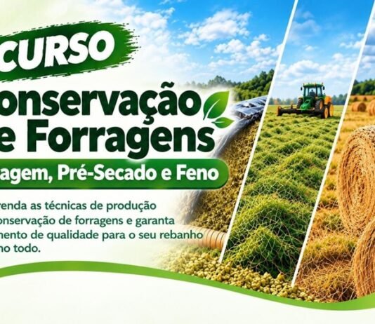 Parceria entre Smap e Sindicato Rural de Toledo viabiliza cursos profissionalizantes