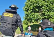 Piracema: restrição à pesca começa domingo e reforça proteção a peixes nativos no Paraná