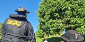 Piracema: restrição à pesca começa domingo e reforça proteção a peixes nativos no Paraná
