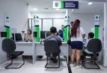 Em um ano, Poupatempo Paraná realiza mais de 4,5 milhões de atendimentos
