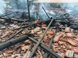 Incêndio destrói barracão de quase 100 anos e mata animais no interior de Toledo