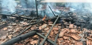 Incêndio destrói barracão de quase 100 anos e mata animais no interior de Toledo