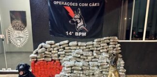 Apreensões de maconha crescem 228% em dez anos na região de fronteira do Paraná