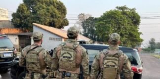 Polícia apreende mais de 300 quilos de maconha carregados em Nova Santa Rosa